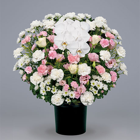 供花(1)