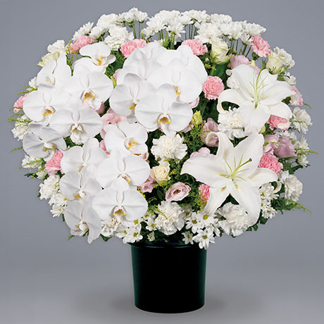 供花(3)
